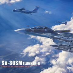 Su-30SM Flanker-H Minibase 8003 1:48