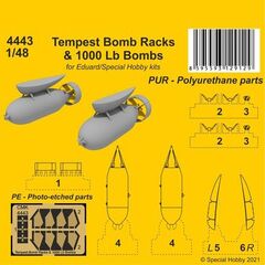 Tempest Bomb Racks & 1000 Lb bombs