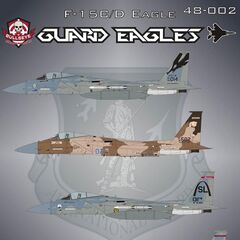 F-15B/C/D 'Guard Eagles'