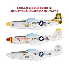 P-51D Air National Guard  - Part 2