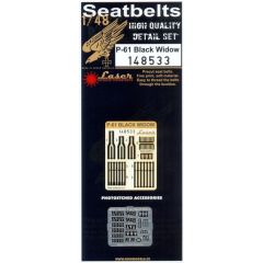 P-61 seatbelts