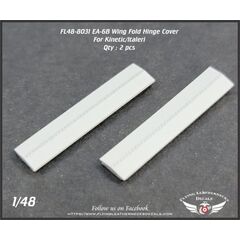 EA-6B Wing fold hinge cover