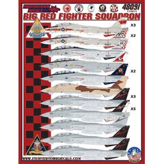 F-14A/B Big Red Fighter Squadron