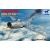 MiG-15 bis Fagot-B Bronco FB4013 1:48