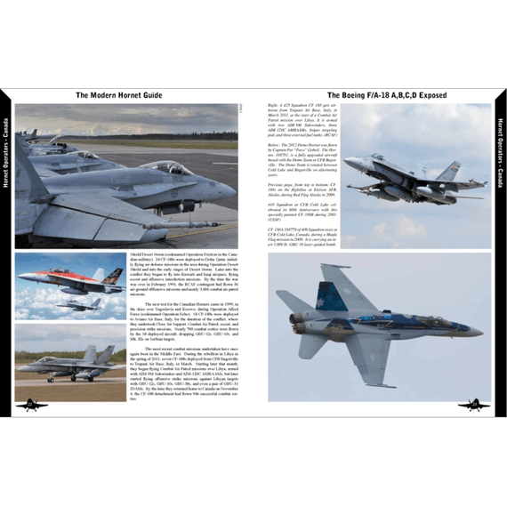 The Modern Hornet Guide: The Boeing F/A-18A/B/C/D Exposed, image 5