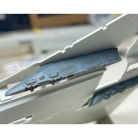 Eurofighter inner wing pylon, image 7