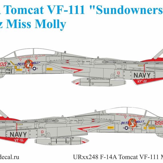 F-14A Tomcat VF-111 Pt.1 Miss Molly	