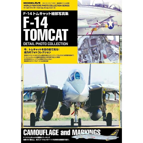 F-14 Tomcat - Detail photo collection, image 2