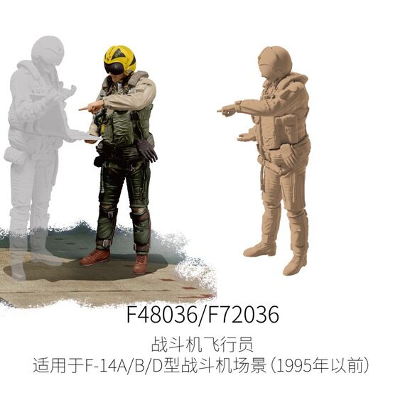 F-14A/B/D pilot (pre 1995) Galaxy Model F48036 1:48, image 2