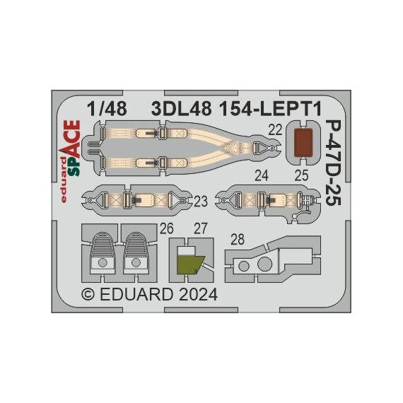 P-47D-25 Space (3D decals), image 3