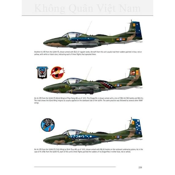 Fall of The Flying Dragon - South Vietnamese Air Force 1973-75, image 15