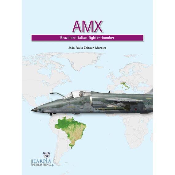 AMX | Brazilian-Italian Fighter-Bomber, image 2