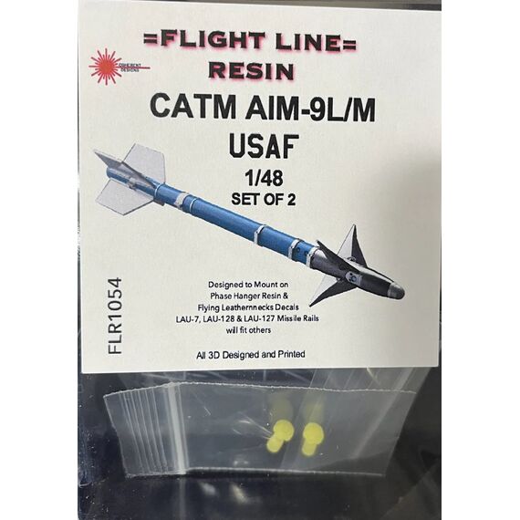 CATM AIM-9L/M USAF Version (2 ea), image 2