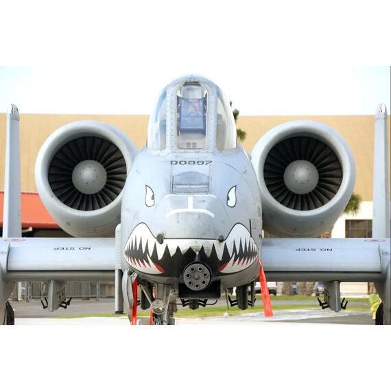 A-10 Inlet/Engine Fan & Exhaust set (late), image 5