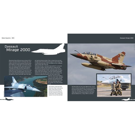 Dassault Mirage 2000, image 4