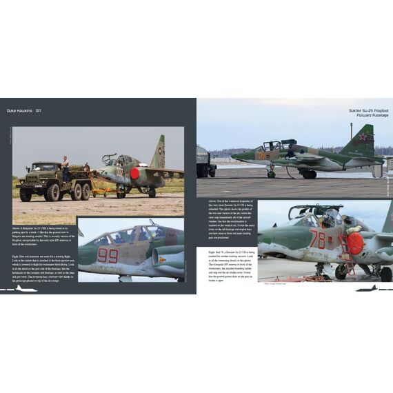 Sukhoi Su-25 Frogfoot, image 4