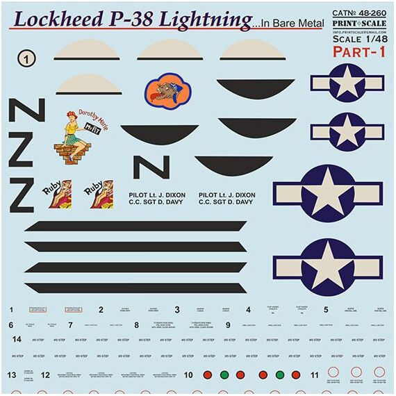 P-38 Lightning in Bare Metal  Part 1