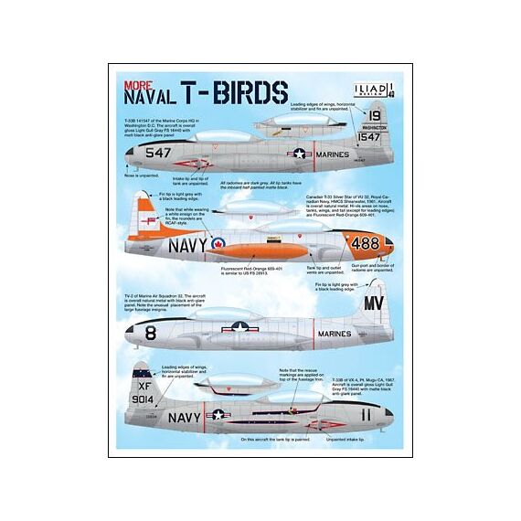 More Naval T-Birds, image 2