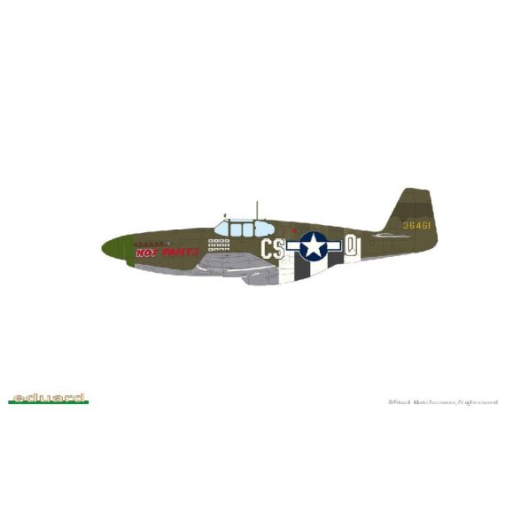 P-51B Mustang Birdcage canopy, image 6