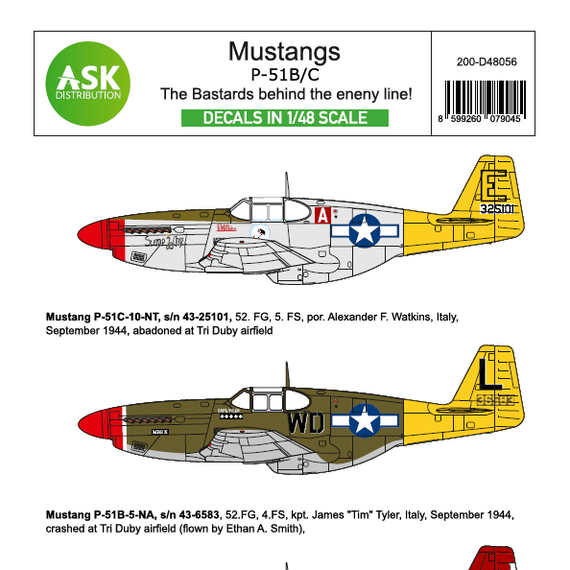 P-51B Mustang - The Bastards behind the enemy lines!