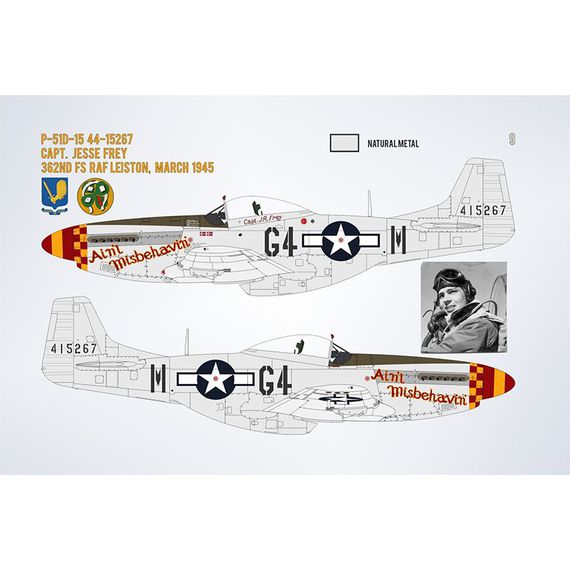 ​P-51D/K Mustang Yoxford Boys #8, image 3