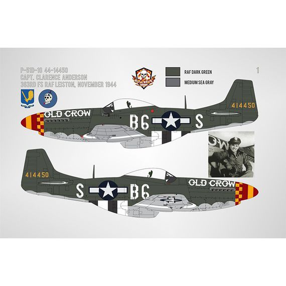 ​P-51D/K Mustang Yoxford Boys #8, image 4