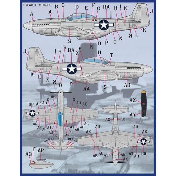 P-51 Meyer's Maulers PT I, image 10