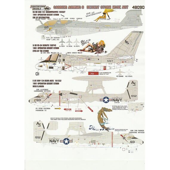 Carrier Air Wing 8 Desert Storm Nose Art (F-14A, A-6, EA-6B, S-3B, E-2C), 6 image