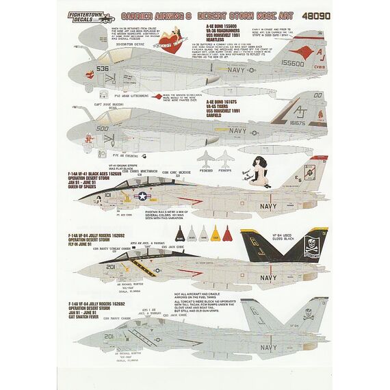 Carrier Air Wing 8 Desert Storm Nose Art (F-14A, A-6, EA-6B, S-3B, E-2C), 4 image