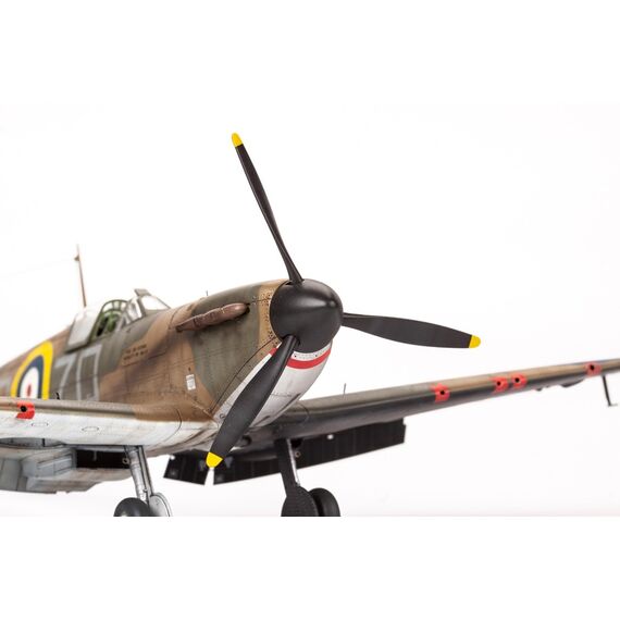 The Spitfire Story (Limited Edition - Dual Combo) Eduard 11143 1:48, image 7