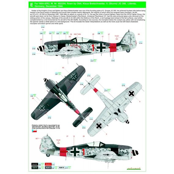 Fw 190A8/R2 - Markings, image 6