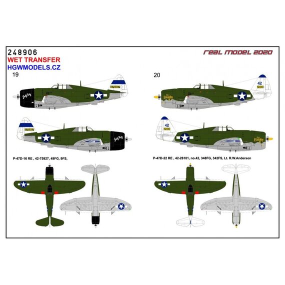 P-47 D over New Guinea markings, image 13