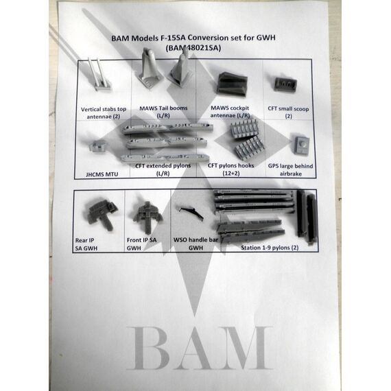 F-15 “The next Generation” SA conversion set
