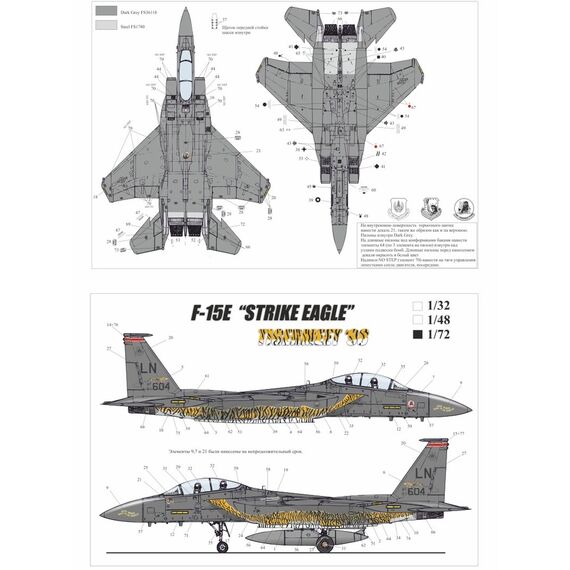 F-15E Strike Eagle Tigermeet'98, with stencils