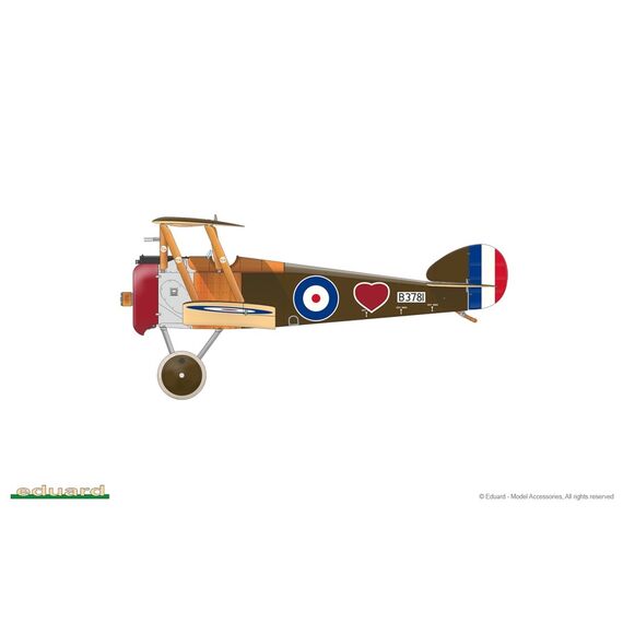 Sopwith F.1 Camel (BR.1) Eduard 82171 1:48, image 15