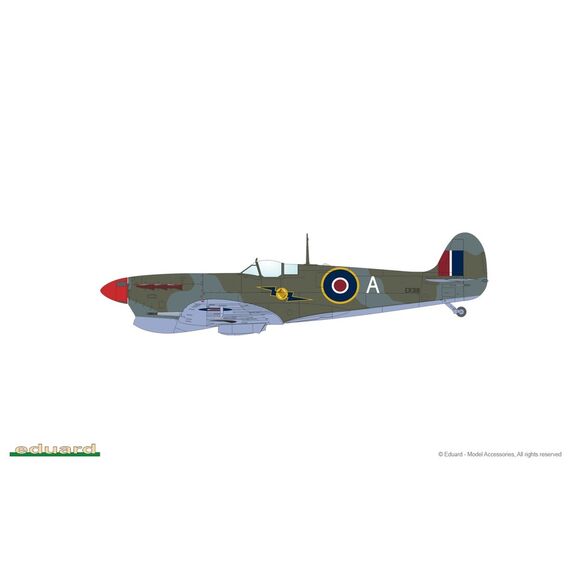 Spitfire Story: Southern Star Dual combo Eduard 11157 1:48, image 25