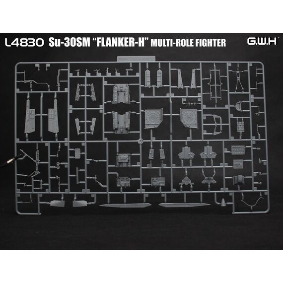 Su-30SM Flanker-H multirole Great Wall Hobby L4830 1:48, image 24