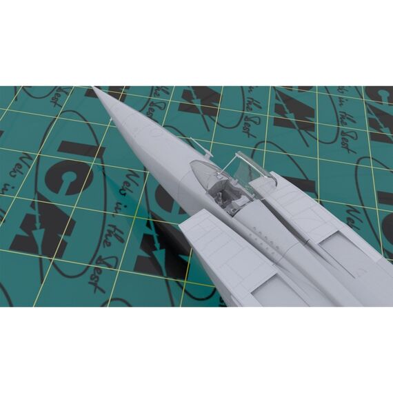 MiG-25 RBF ICM 48904 1:48, image 6