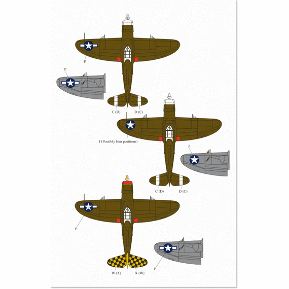 P-47 Thunderbolts - Part 1, image 3