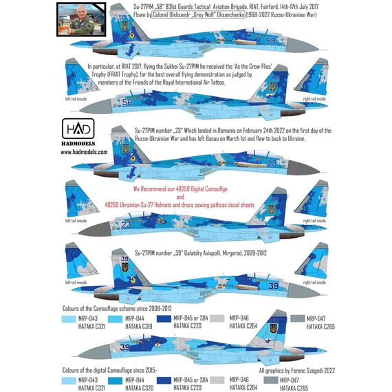 Su-27 Flanker-B with digital camouflage decal, image 4