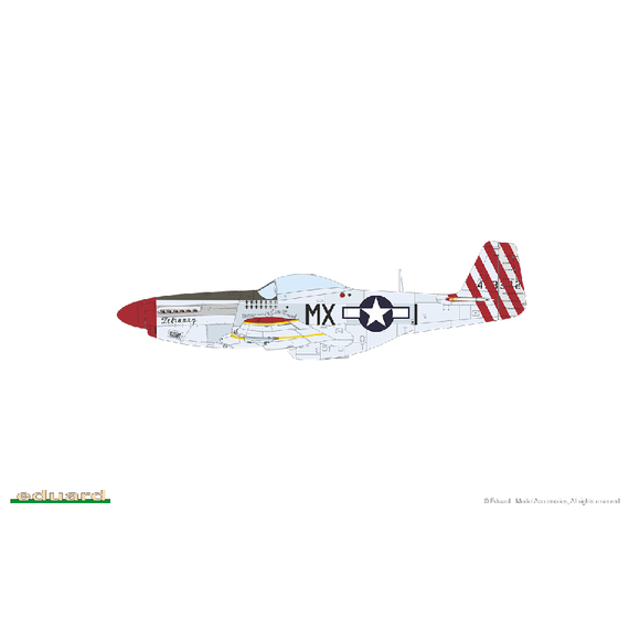 RED TAILS & Co. DUAL COMBO Eduard 11159 1:48, image 18