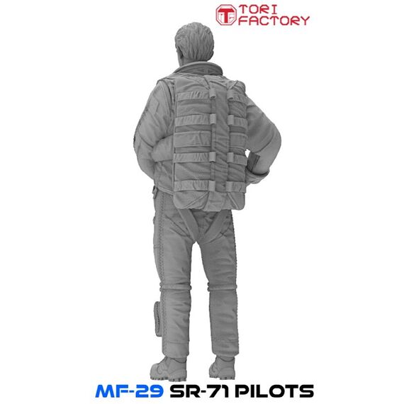 SR-71 Pilots set Tori Factory MF-29B 1:48, image 10