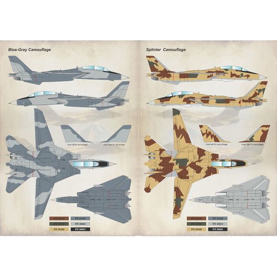 Iranian F-14 - The complete set 2, image 5