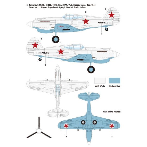 P-40 Part.2 - Land-Lease Warhawk/Tomahawk in VVS, image 6