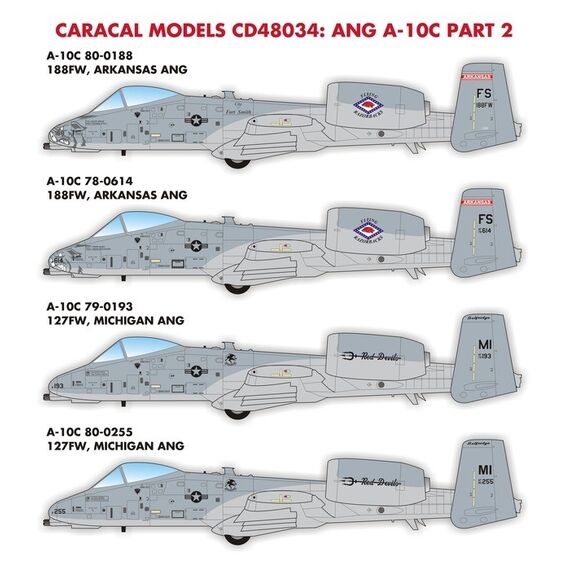 A-10C Warthog Part 2 Arkansas & Michigan ANG